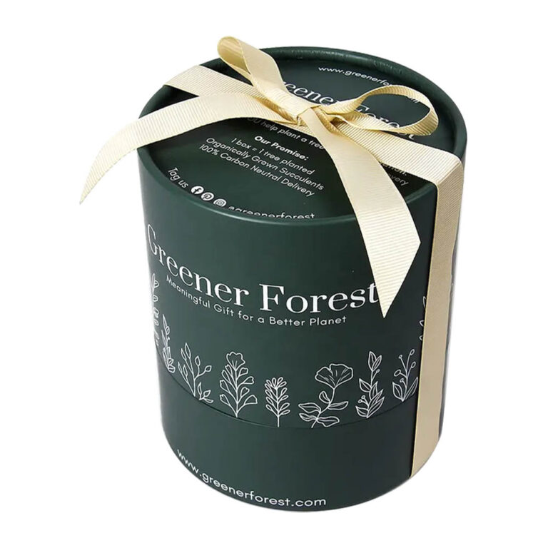 Custom Elegant Paper Tube Packaging with Bowknot for Gift